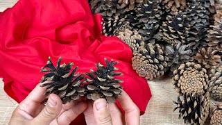 Look What I Made With Pine Cones And A Piece Of Fabric DIY [upl. by Acinomed]