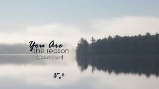 Vietsub  Lyrics You Are The Reason  Calum Scott [upl. by Narok]