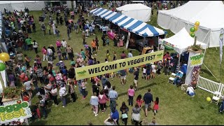 Veggie Fest 2017 Highlights [upl. by Ylerebmik]