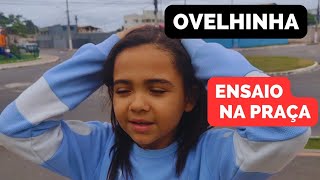 UM MARIMBONDO QUIZ ME ATACAR ENQUANTO ENSAIAVA NA PRAÇA  OVELHINHA [upl. by Meta]