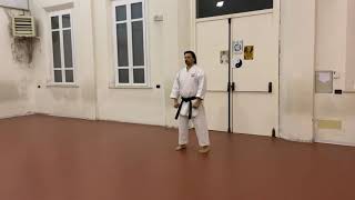 Heian Sandan amp bunkai of KarateDō Shotokai [upl. by Antoinetta]