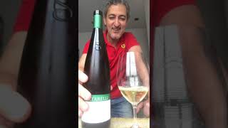 Sartarelli TRALIVIO 2018 Verdicchio dei Castelli di Jesi DOC cata by Javier Azcona [upl. by Nitsrik]