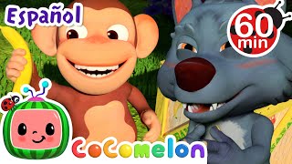 CoComelon en Español  Manzanas y Bananas  Canciones Infantiles y de Cuna [upl. by Anaeli]