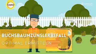 Buchsbaumzünslerfalle von Solabiol [upl. by Earazed]