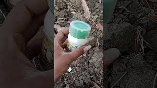 Azoxystrobin 182 Difenoconazole 114 fungicide use in hindi magnite fungicide [upl. by Glenn216]