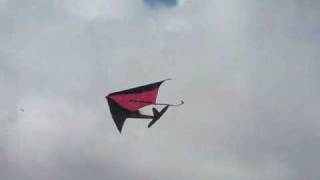 Rogallo kite wing RC Easy Star [upl. by Elakram]