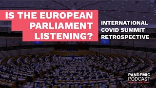 International Covid Summit Review Are MEPs listening [upl. by Durnan]