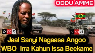 OMN ODDU AMME  Jaal Sanyi Nagaasa Aangoo WBO irra Kahun Issa Beekame  Araata ONM [upl. by Zumstein]