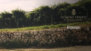 Il vino Ripasso della Valpolicella  Domìni Veneti [upl. by Poppo]