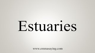 How To Say Estuaries [upl. by Sairtemed]