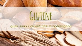 Quali sono i cereali con il glutine [upl. by Leahey]