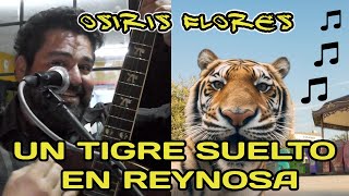 Se escapó un Tigre en Reynosa Parodia  Osiris Flores [upl. by Priestley]