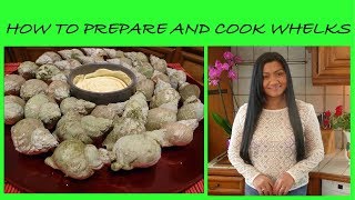 How to Prepare and Cook Whelks  Sea Snails  How to Clean and Cook Sea Snails  Cooking Sea Snails [upl. by Aekan]