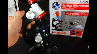 Cheapest 13 microscope with 1200X magnification What can we see [upl. by Llerrud]