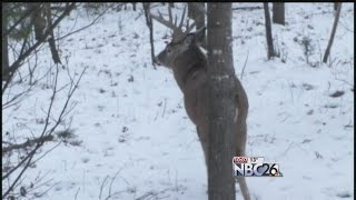 GunDeer Hunting License Sales Drop Dramatically from Last Year [upl. by Raynell]