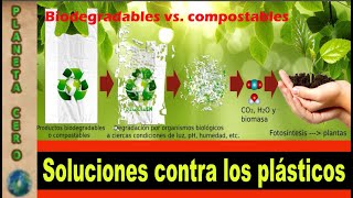 Plásticos biodegradables y compostables [upl. by Bent199]