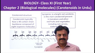 Lipids  Carotenoids  First Year Biology  Chapter 2  Part 15 [upl. by Culbertson]