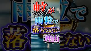 【ゆっくり解説】蚊が雨粒で落ちてこない理由を知っているか？ ゆっくり解説 雑学 ゆっくり [upl. by Marko517]
