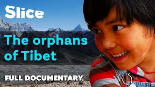 The exodus of Tibetan children  SLICE  FULL DOCUMENTARY [upl. by Suertemed686]