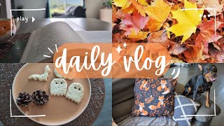 VLOG 58  🍂 Lecture du moment amp Déco automnale✨  Sablés maison orangecannelle 🍊🍪 [upl. by Northington]