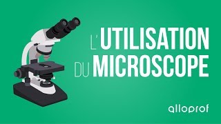 Lutilisation du microscope  Sciences  Alloprof [upl. by Jaquenette]