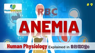 ANEMIA CLASSIFICATIONS How is Anemia Classified MicrocyticNormocyticMacrocytic Anemia [upl. by Balough488]