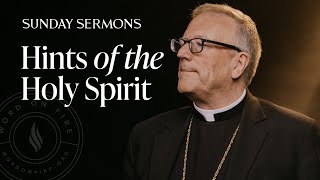 Hints of the Holy Spirit  Bishop Barrons Sunday Sermon [upl. by Burnley517]