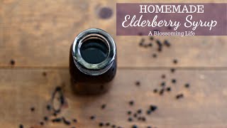 How To Make Elderberry Syrup Recipe  Homemade [upl. by Teilo]