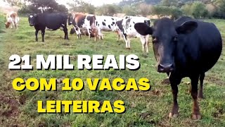 Ganhe R 21000 Reais por Mês com 10 Vacas LeiteirasPequeno Produtor [upl. by Rowley904]