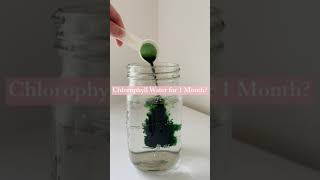 Chlorophyll Water for 1 Month Results Shorts [upl. by Akemyt]