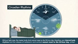 The Cause and Effects of Non24Hour SleepWake Disorder [upl. by Ruhl925]