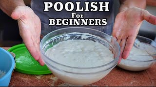 How to Make Poolish for Beginners  Easy amp Fast [upl. by Kovacev]