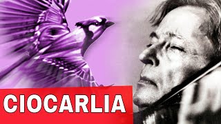 CIOCÂRLIA  George Enescu The LARK [upl. by Hyacinthia]