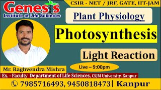 Photosynthesis  Light Reaction  Plant Physiology  CSIR NETJRF  IITJAM [upl. by Catto]