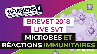 Brevet 2018  Révisions de SVT  Microbes et réactions immunitaires [upl. by Nylitsirk]