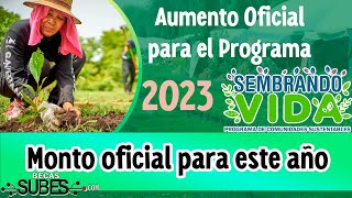 🔴 Aumento oficial del programa Sembrando Vida Este será el monto oficial para 2023 [upl. by Leahcimaj]