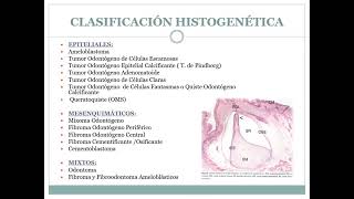 TUMORES ODONTOGÉNICOS 2022 [upl. by Sheeran]