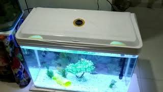 Hindi me RS 800 EL Model 128 Litres Moulded Imported Aquarium from RS Electrical review [upl. by Cruz]