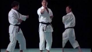 Heian shodan Shitoryubunkai [upl. by Lodhia]