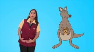 Kangaroo Breathing  Conscious Discipline [upl. by Alyac684]