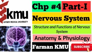 Nervous System PartI Anatomy and Physiology Functions and Receptors of Nervous System Farman KMU [upl. by Aracat]