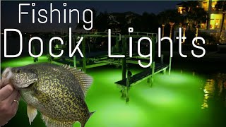 Dock Light Fishing [upl. by Adnema]