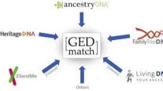 MY GEDMATCH ETHIOHELIX amp DODECAD PROJECT RESULTS USING MY 23 amp ME RAW DATA ETHIOPIAN JEW [upl. by Buzzell]