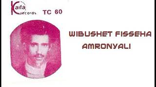 Wubshet Fisseha – Amronyali Full Album 1985 [upl. by Reitrac454]