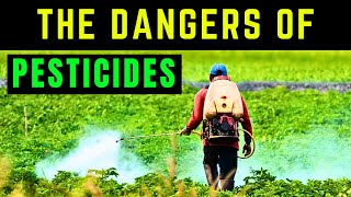 The Dangers of Pesticides Protecting Yourself and the Environment [upl. by Nerred978]