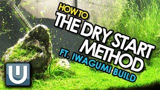 How to make Planted Aquarium Setup in Dry Start Method First Part Beginners Aquarium Tutorial [upl. by Shuma607]