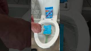 Coke amp Mentos Toilet Hack GONE WILD🚽🥤 lifehacks shorts cleaninghack [upl. by Jessika912]