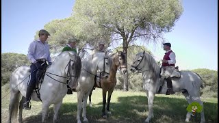 Los rejoneadores hermanos Peralta nos enseñan su día a día [upl. by Guy386]