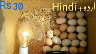 How To Make an Egg incubator at Home  Cardboard Box Egg incubator [upl. by Aivatco]