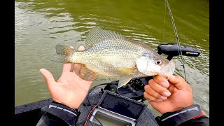 Wabigoon Lake Fall Crappie [upl. by Adelaide]